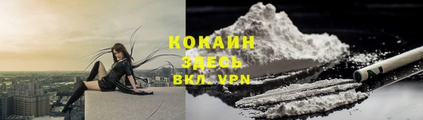 тгк Медвежьегорск