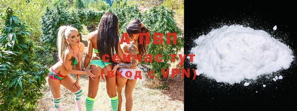 тгк Медвежьегорск